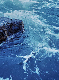 welcome大发系统-追求康健,你我一起生长