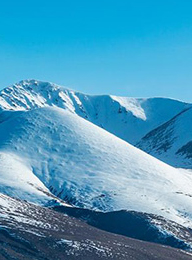 welcome大发系统-追求康健,你我一起生长