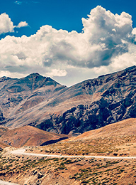 welcome大发系统-追求康健,你我一起生长