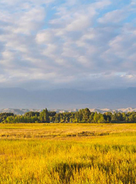 welcome大发系统-追求康健,你我一起生长