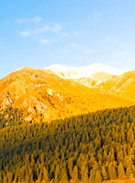 welcome大发系统-追求康健,你我一起生长