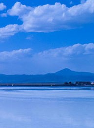 welcome大发系统-追求康健,你我一起生长