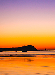 welcome大发系统-追求康健,你我一起生长