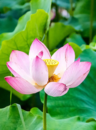 welcome大发系统-追求康健,你我一起生长