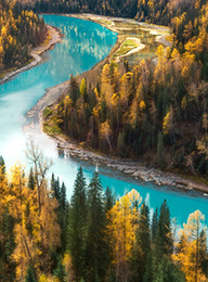 welcome大发系统-追求康健,你我一起生长