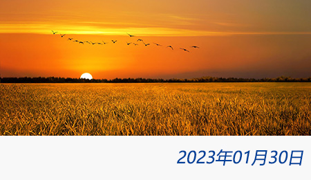 welcome大发系统-追求康健,你我一起生长