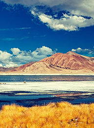 welcome大发系统-追求康健,你我一起生长