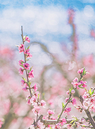 welcome大发系统-追求康健,你我一起生长