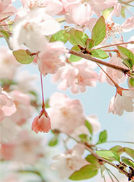 welcome大发系统-追求康健,你我一起生长