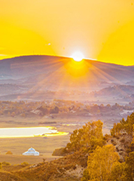 welcome大发系统-追求康健,你我一起生长