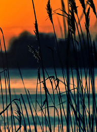 welcome大发系统-追求康健,你我一起生长