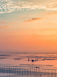 welcome大发系统-追求康健,你我一起生长