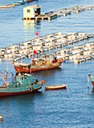 welcome大发系统-追求康健,你我一起生长