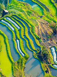 welcome大发系统-追求康健,你我一起生长
