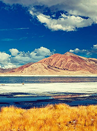 welcome大发系统-追求康健,你我一起生长