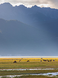 welcome大发系统-追求康健,你我一起生长
