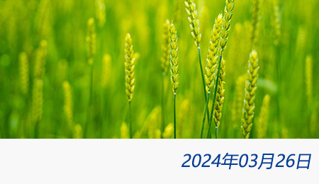 welcome大发系统-追求康健,你我一起生长